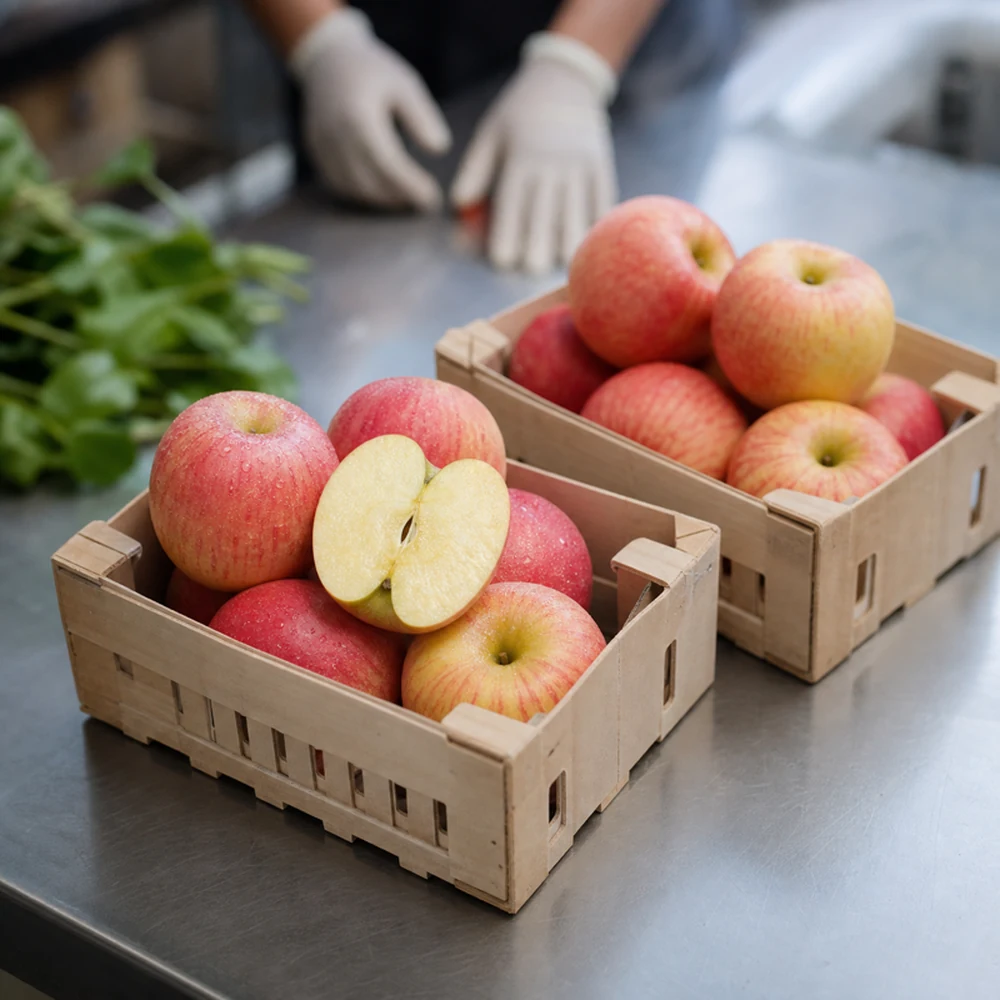 Fuji-style apple samples being checked with a caliper.